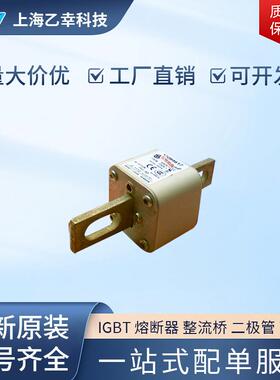 巴斯曼熔断器 170M4615 170M4616 170M4617 170M4618 170M4619