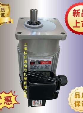 J230V15-100-15-C(Y) LUSON电机 LY马达 J230V15-100-15-S3(Y)