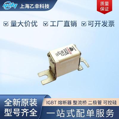 巴斯曼熔断器 170M2051 170M2052 170M2053 170M2054 170M2055