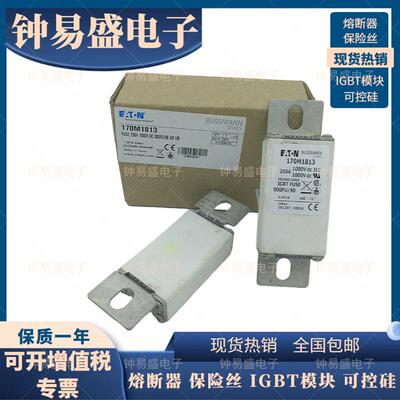 BUSSMANN熔断器000FU/90 170M1813/1809/1810/1811-250A 1000V