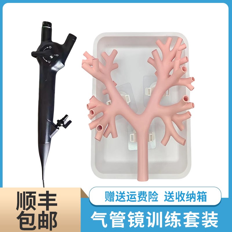 支气肺管镜训练模型纤q维电子支气树管训练模拟器介入四级练习