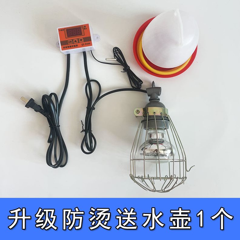 温度宠物控制鸟自动保温箱育雏保温箱育雏幼保温箱鹌鹑箱小鸡雏苗