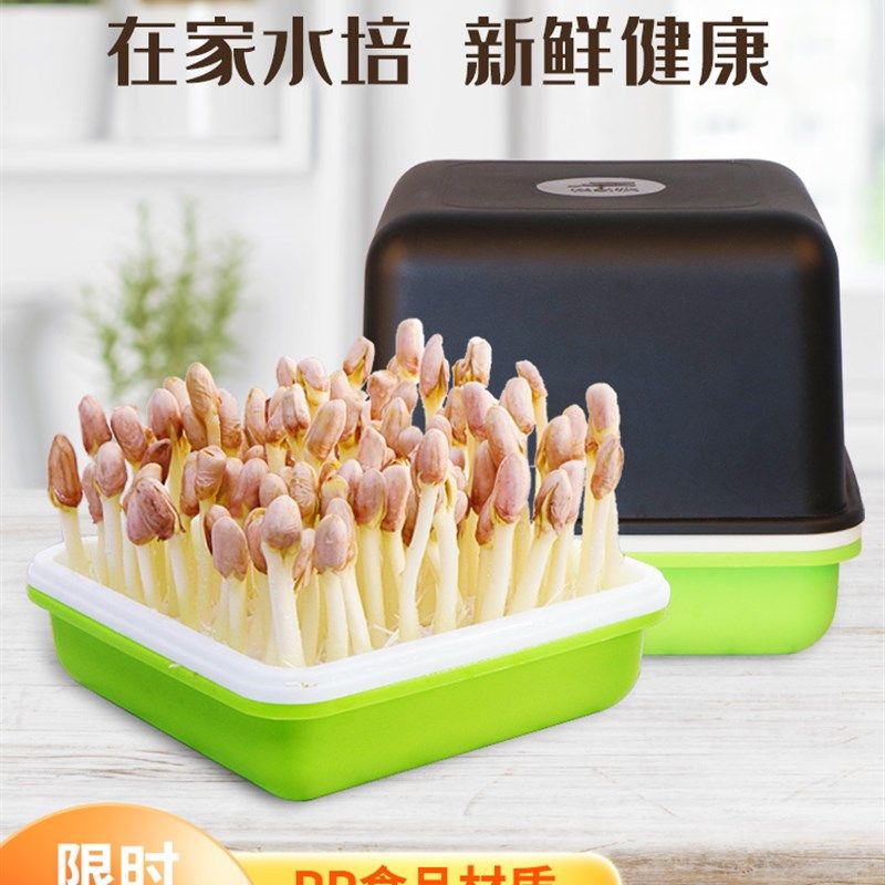 花生芽发芽神器豆芽发芽t神器发豆芽专用盆芽苗菜育苗绿豆芽水培