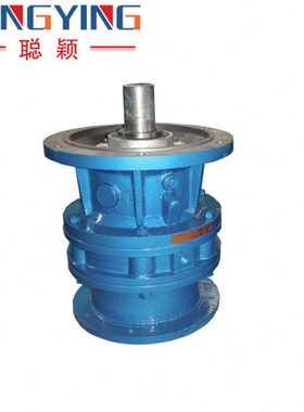 2-9摆线针轮减速机2.9-BL-9-D332.2BL2.摆线减速机D3D3/-BL/2-W4K