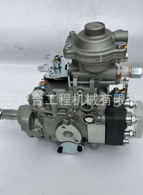 燃油泵196000-2301 VE6/10F1900RND230 22100-1C080 196000-2331