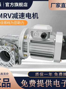 NMRV110铁壳蜗轮减速机3KW三相220V立式YS/YE2-100L2-4低速电动机