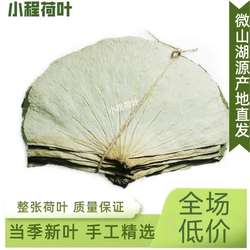 微山湖干荷叶整张500克荷叶鸡糯米鸡荷叶茶2025年新鲜大张莲藕叶