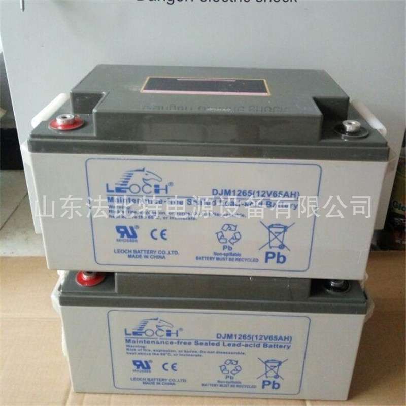 支持到货付款理士铅酸蓄电池DJM12100S/12V100AH理士蓄电池