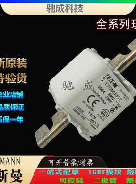 巴斯曼170M6314 170M6315 170M6316 原装进口零售  高速熔断器