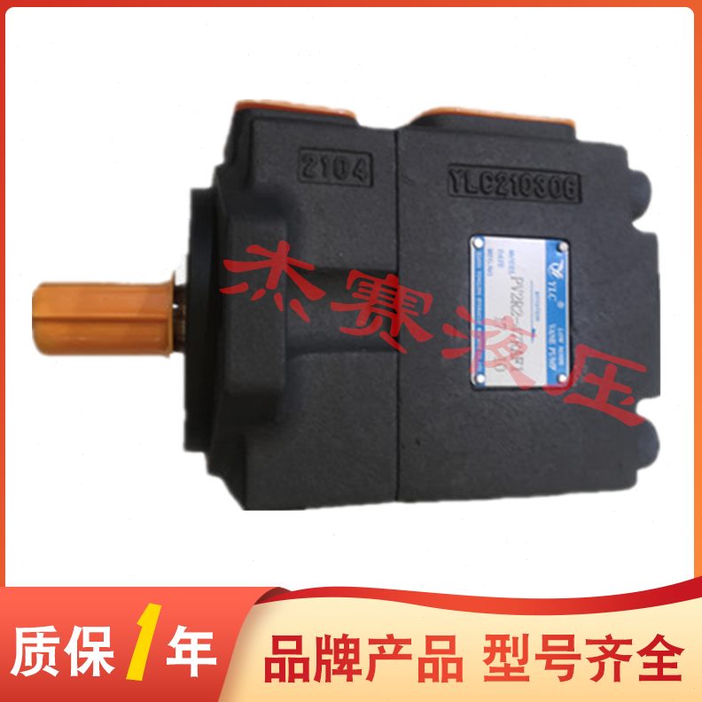 P79居Y叶片泵R3R3 L油泵V260永灵定F6-6V2C4526  低噪FP音-量1 仙