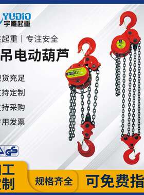 宇雕起重DHP环链葫芦5t10T20吨群吊爬架葫芦380V油罐焊接电动葫芦
