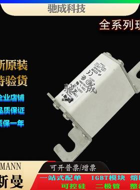 巴斯曼170M1410 170M1411 170M1412 大量现货零售 快速熔断器