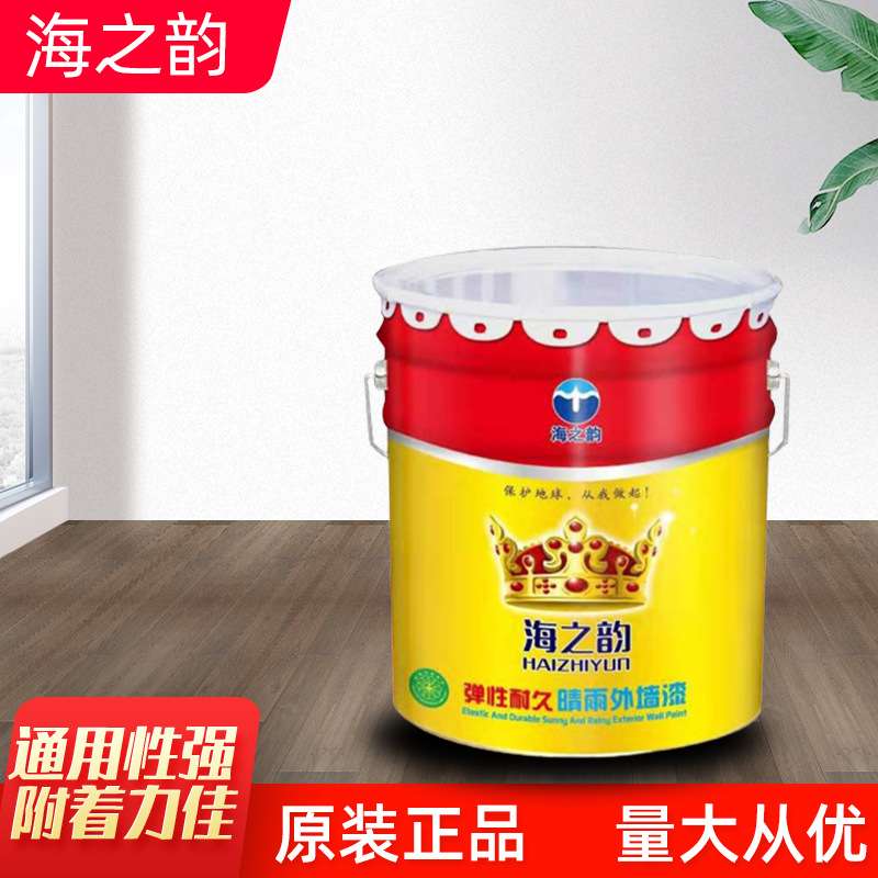 海之韵弹性外墙漆家用涂料室外翻新墙面漆耐候外墙乳胶漆现货