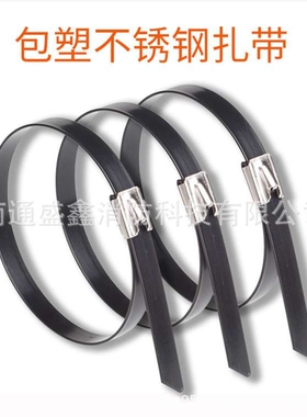 船用不锈钢扎带 FZ600GSP表面喷塑处理 防锈锁紧磨砂滚珠设计扎带
