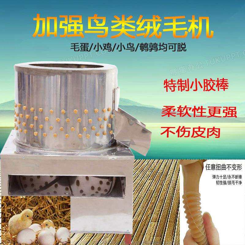 不锈钢小家禽鹌鹑鸽子脱毛机刚出壳小鸡小鸭小鹌鹑脱毛机厂家