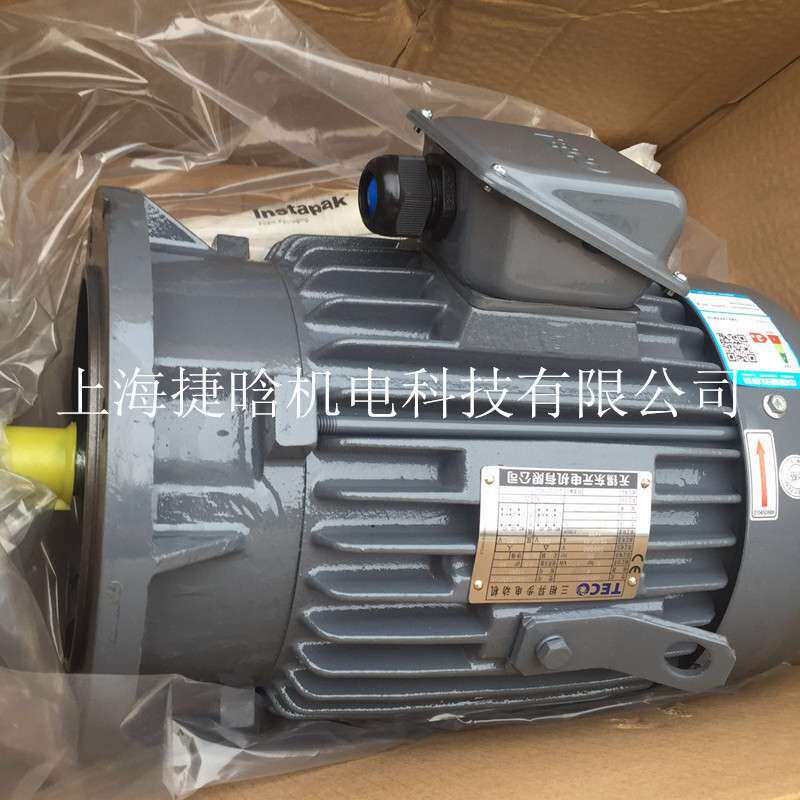 TECO东元电机三相异步马达25HP 18.5KW 4P AEEFF3 AEVFF3 IE2