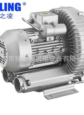 高压旋涡气泵 2RB 410 A01 700W 220V家用电格之凌GZLING