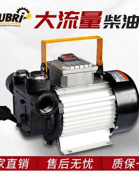 ACTP60 220v电压抽油泵电动加油泵 直流加油泵吸油泵柴油泵