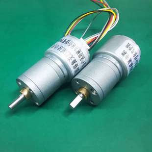 减速无刷电机齿轮箱大力矩小体积可正反转调速马达YGA20RBL2418