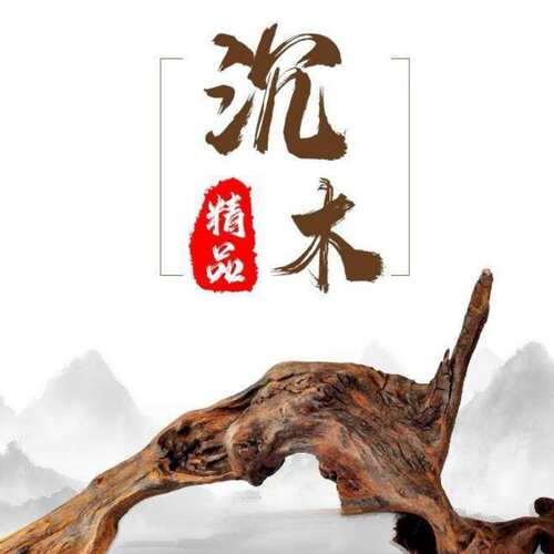 枯木树枝沉木现代爬宠躲避攀爬木鬃狮蜥晒台捷角守宫蛇饲养箱造景