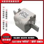 170M6069 170M6067 170M6068 170M6070巴斯曼熔断器170M6071