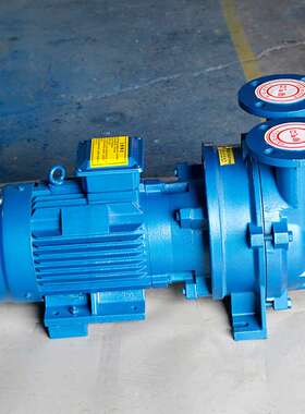 派瑞真空泵2BV水环真空泵泵头水环真空泵 油式旋片真空泵VC50