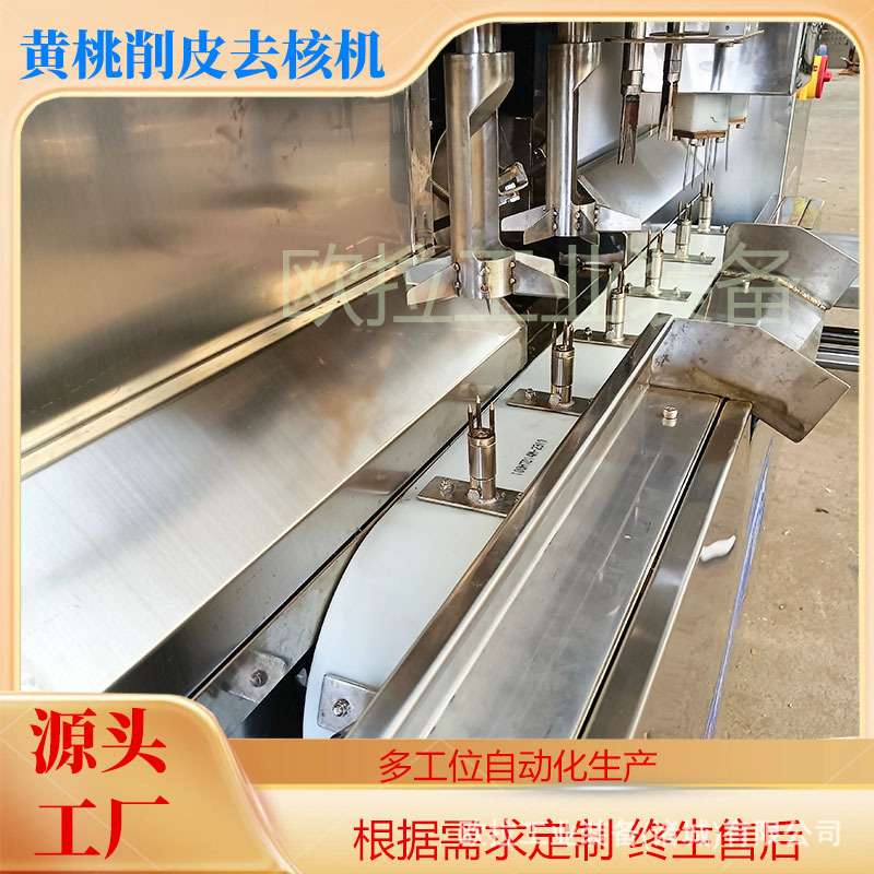 水果全自动去核加工生产线 雪梨削皮去核设备 不锈钢去皮去核机