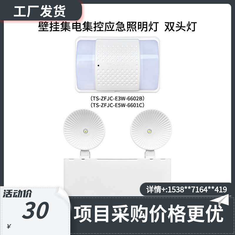泰和安壁挂集电集控应急照明灯 双头灯6604A/6602B/6601C图片