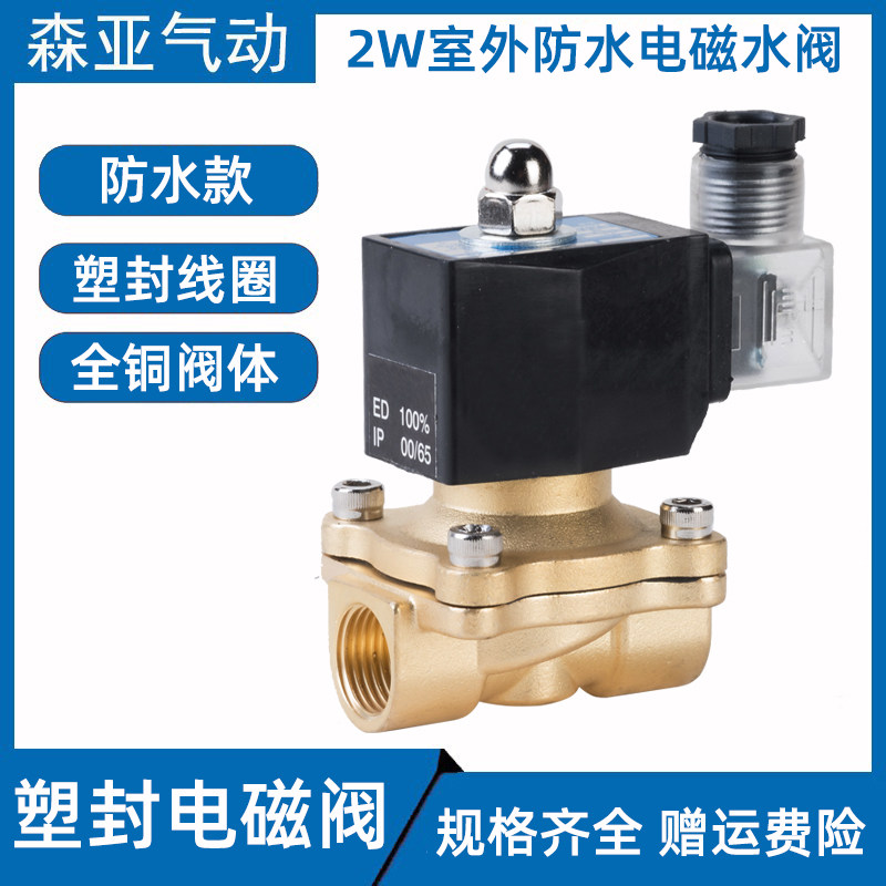 室外防水全铜电磁控制电阀开关水阀气阀220v24v12vt4分6分1寸半2