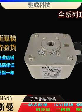 巴斯曼170M6586 170M6587 170M6588 销售供应零售  快速保险丝