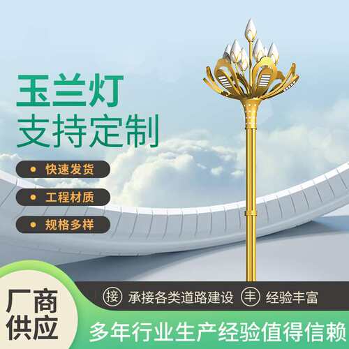 定道路景观灯大型LED市电户外市政工程照明灯八叉九火欧式玉兰灯