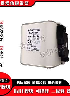 170M6518 170M6519 170M6520型号齐全170M6521巴斯曼熔断器现货