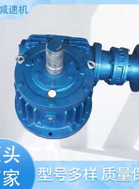 WHS210蜗杆减速器 厂家回转设备圆弧齿蜗杆减速器 WPA蜗杆减速器