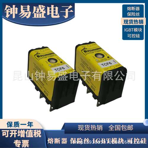 BUSSMANN延时熔断器TCF6 /15 / 20 / 30RN   600V