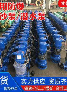 BQS矿用隔爆型排污排沙电泵 FQW风动潜水泵 BQG气动隔膜泵 污水泵
