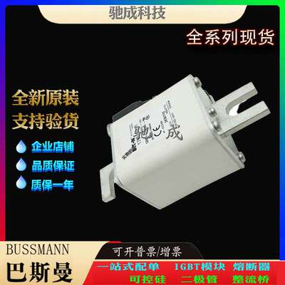 巴斯曼170M5971 170M5972 170M5973 现货直销 零售 低压保险丝