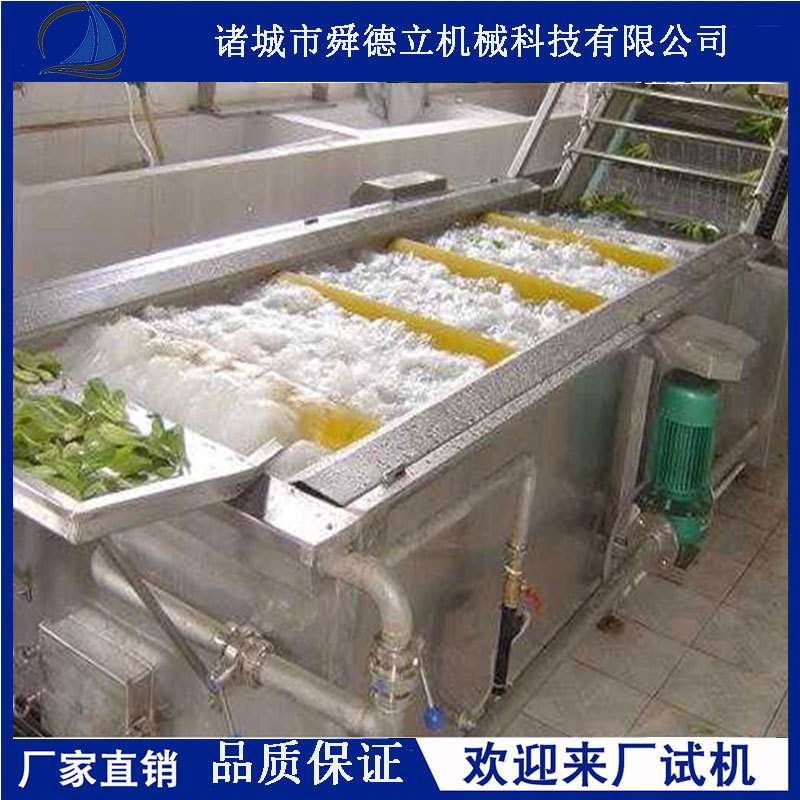 全自动玉米清洗机 杏鲍菇金针菇连续式清洗设备 果蔬气泡清洗机