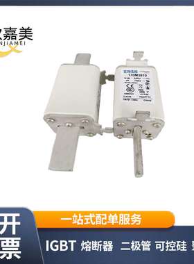 170M3810 170M3472 快速熔断器  电子元器件 型号齐全 量大价优