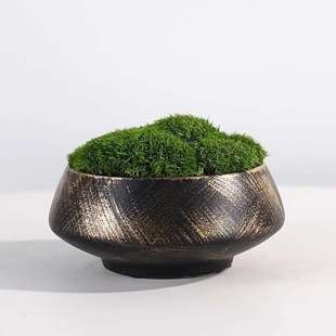 新中式永生青苔植物盆栽微景观样板房客厅书房茶几售楼处桌面摆件