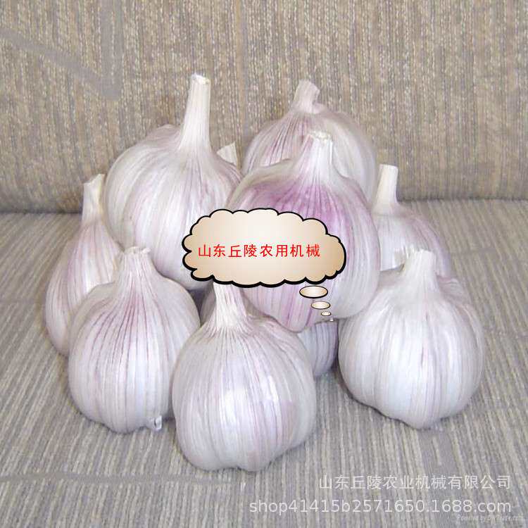 全自动大蒜剪杆去胡机 48V小型便携式电动大蒜剪杆去胡机厂家