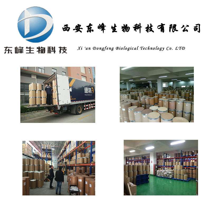 98%补骨脂酚 补骨脂素现货供应10309-37-2补骨脂提取物补骨脂酚