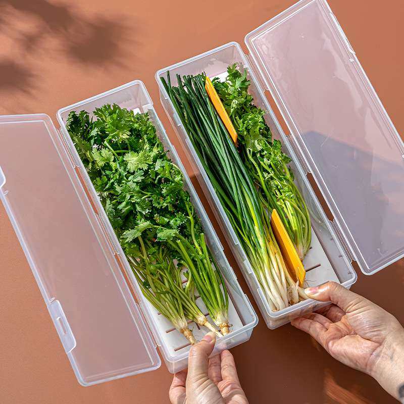 葱香菜收纳盒冰箱储物盒沥水保鲜盒小葱姜蒜食品级筷子面条意面盒,玩具/童车/益智/积木/模型,遥控车升级件/零配件,淘宝优惠券,粉丝福利购,淘宝优惠卷