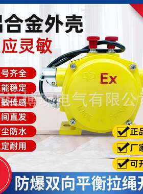 抗冲击高强度高密性高端防爆双向拉绳开关BKLT2 EXKLT2 XLLS-II