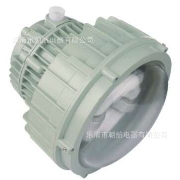 BWD91 BWD93  BWD95 BWD96 带网罩系列防爆灯