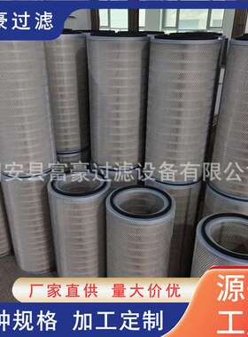 K32100空气滤筒安装方式吊装快拆式褶皱折叠纸质滤芯用于过滤粉尘