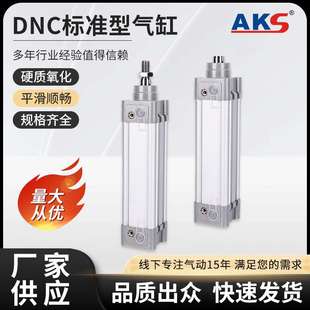 DNC/SE气缸可调节气动执行元件可调缓冲重型铝制SMC型气缸
