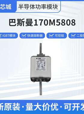 巴斯曼BUSSMANN 400NHG2B直流快速熔断器