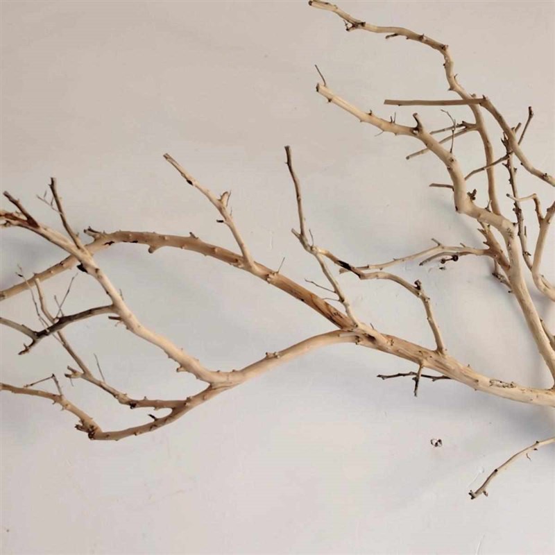 吊灯干枝分枝g干树枝装饰树干枯枝室内天花板挂灯插花挂件舞台摆