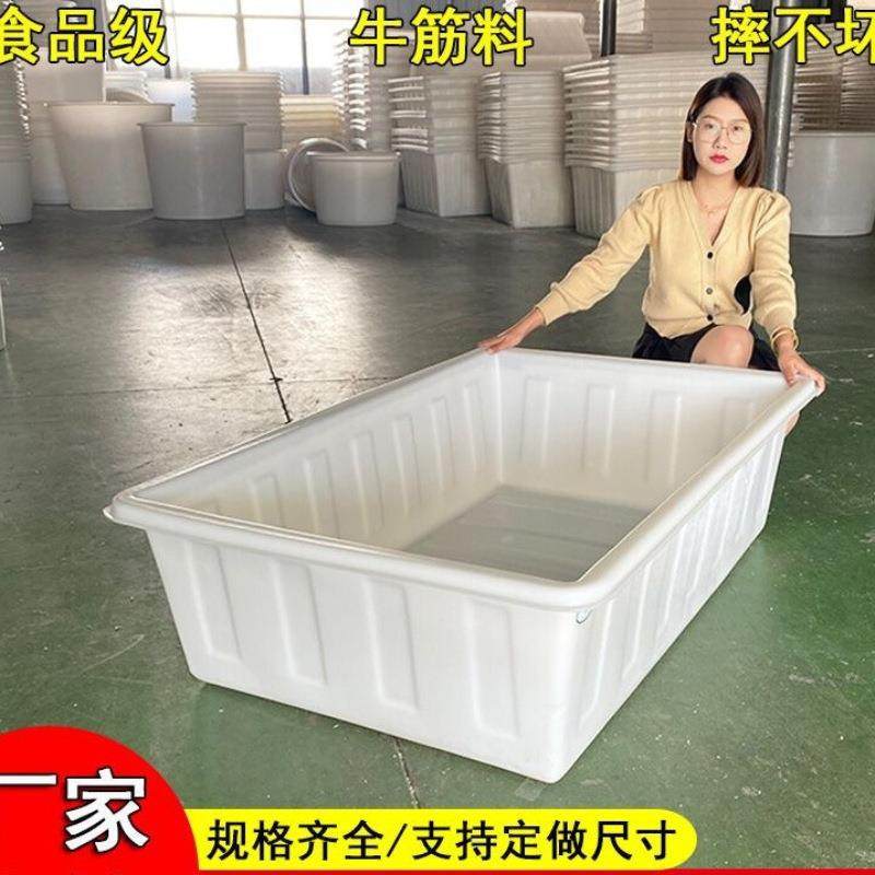 旭菲塑料水箱长方形加厚牛筋大号储水桶卖鱼浅盆养鱼周转箱水产养,鲜花速递/花卉仿真/绿植园艺,割草机/草坪机,淘宝优惠券,粉丝福利购,淘宝优惠卷