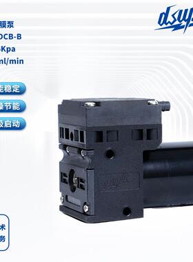 气体隔膜泵DS05 DCB-B 真空泵直流12V微型真空气泵气体采样泵